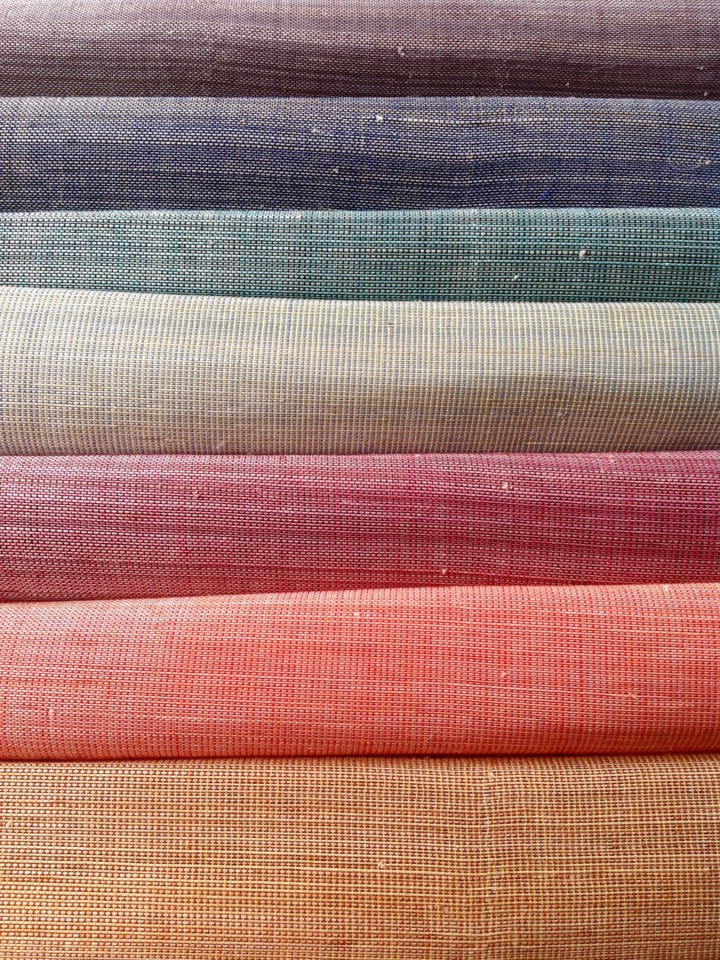 Polyabaca